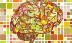 3 Ways Drug-Use Rewires Your Brain