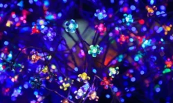 Innovative Technology Trends in the Cruise Industry